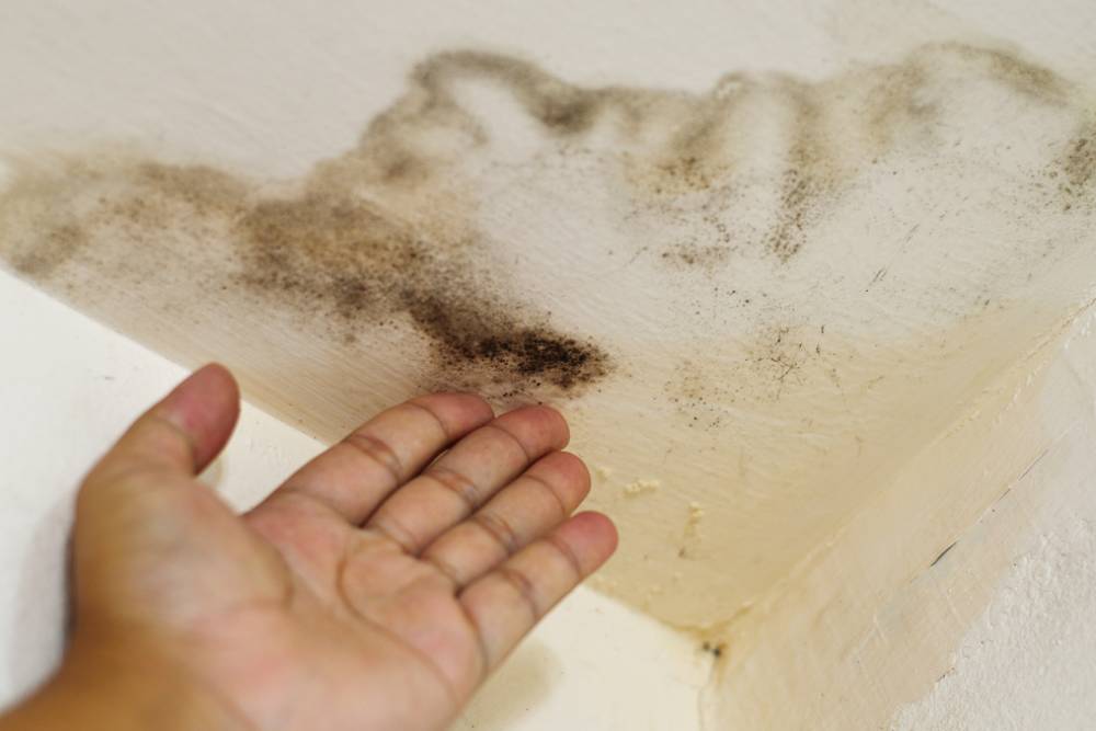 hand with water damaged ceiling