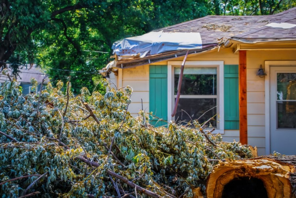 House with damaged roof with plastic covering it and tree that fell on it piled up in foreground