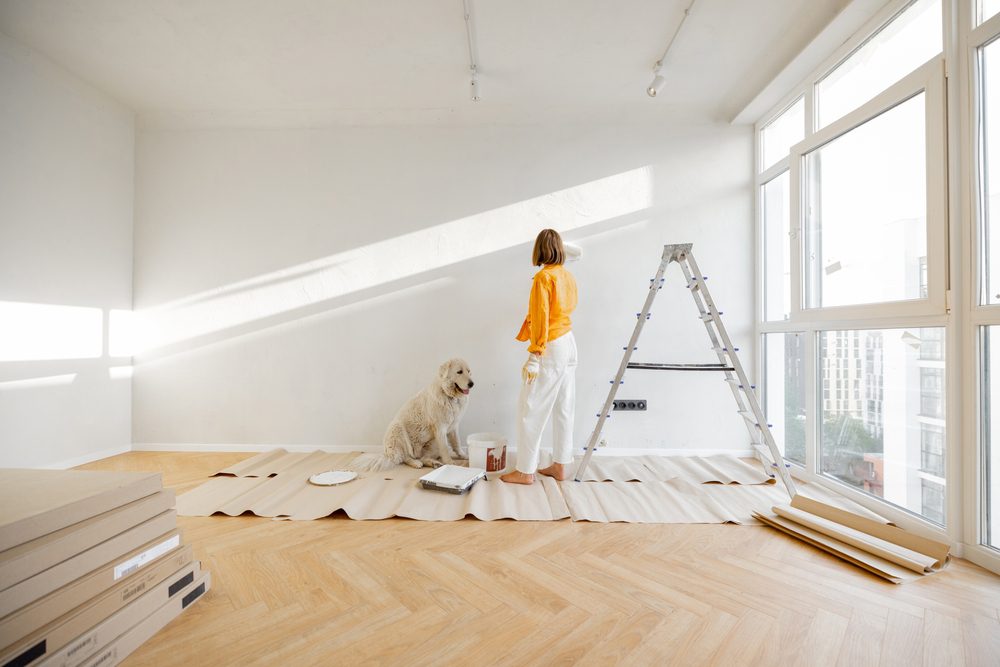 Woman with her dog paints the wall in white color, making repairment in newly purchased apartment