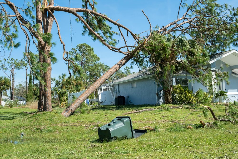 Damage to Florida house roof from uprooted tree after hurricane. Insurance claim on destroyed home